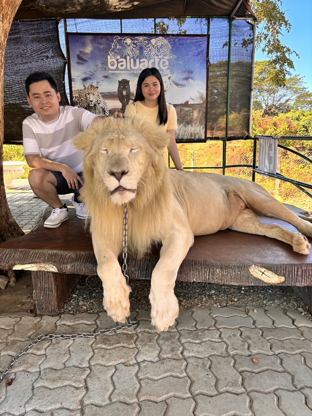 Vigan City, Ilocos Sur
