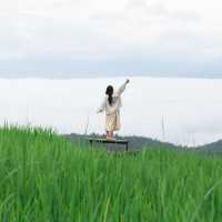10ข้อควรรู้ ก่อนมาป่าบงเปียง 🌾⛰️🌧️
