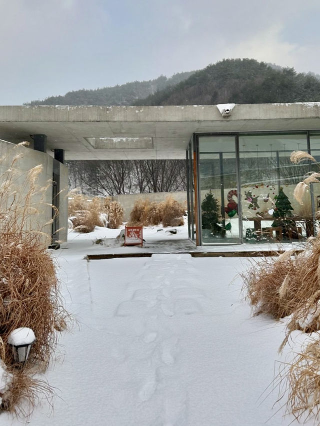 건축상을 받은 겨울 눈꽃 휴양하시기 좋은 🩵무주 겨울스테이여행 추천 🩵