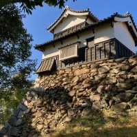 賞櫻賞楓就來「舞鶴公園」
