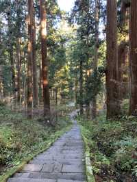 【東北×山形】  国宝  東北最古の塔  空気感が違うパワースポット