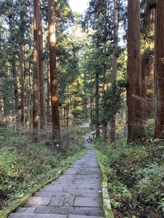 【東北×山形】  国宝  東北最古の塔  空気感が違うパワースポット