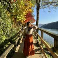 Beautiful Nami Island