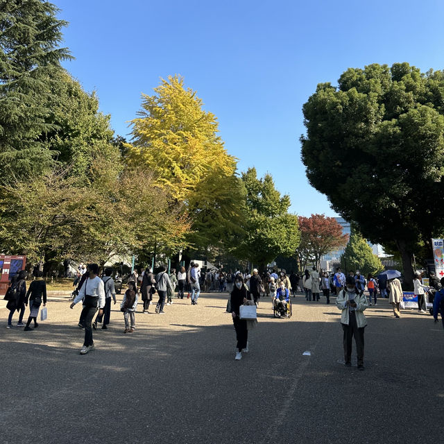Ueno Park • Tokyo 🇯🇵 Japan