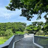 อีกหนึ่งสวนกลางเมืองฮีลใจ “สวนเบญจกิติ” 🏞️🏙️🌷