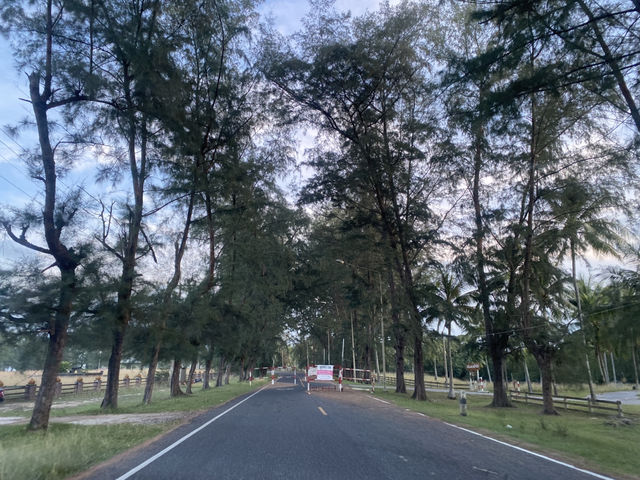 หาดบางสาย อำเภอไม้แก่น