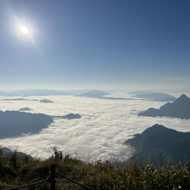 มาแอ่วเหนือที่ ภูชี้ฟ้า ⛅️⛰️ จังหวัดเชียงรายกันจ้า