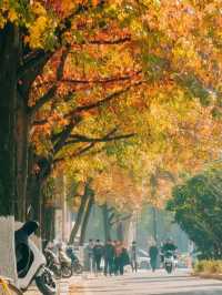 虞山公園