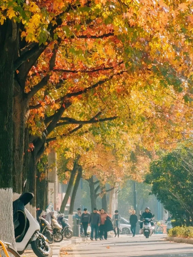 虞山公園