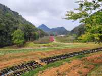 ธรรมชาติงดงาม ในหุบเขาสลับซับซ้อน บนยอดดอยอ่างขาง