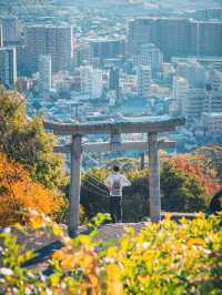 景點推薦：五月山公園——遠眺城市全景的隱藏秘境