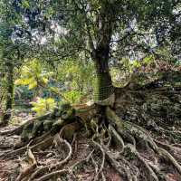 Mystical Goa Gajah: A Journey into Bali’s Ancient Past