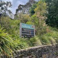 Blue Mountains, New South Wales