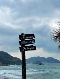 為了這個絲島來福岡😝島上全攻略🥰
