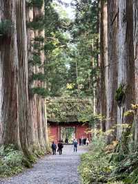 Beyond the Gate: Togakushi Shrine