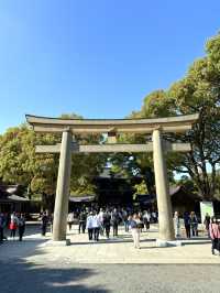 東京　東京観光　日本一参拝者数の明治神宮に行ってきた！