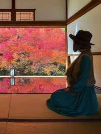 兵庫観光🍁安国寺のドウダンツツジ🍂美しいリフレクション😊🪞✨