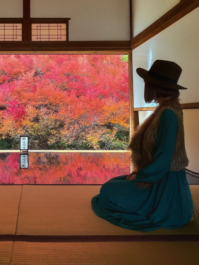 兵庫観光🍁安国寺のドウダンツツジ🍂美しいリフレクション😊🪞✨