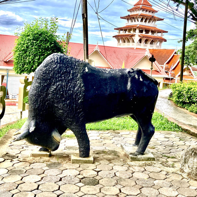 A Tropical Escape @Sud Siam Park Betong