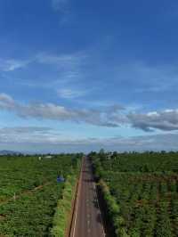 Gia lai city