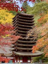 奈良観光🦌十三重塔と紅葉のコラボが素敵な談山神社⛩️