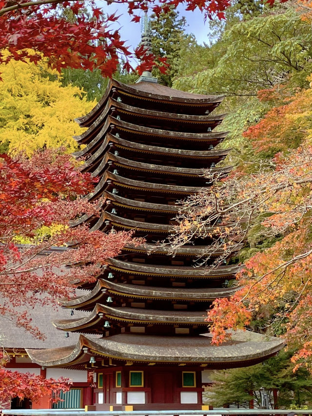 奈良観光🦌十三重塔と紅葉のコラボが素敵な談山神社⛩️ 奈良観光🦌十三重塔と紅葉のコラボが素敵な談山神社⛩️