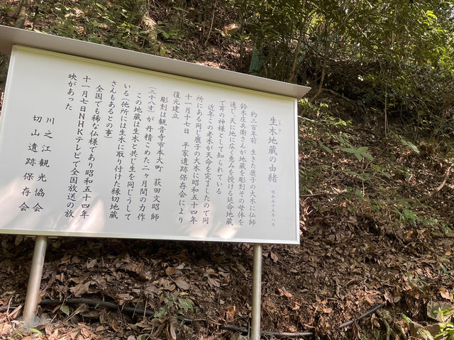 🇯🇵【愛媛】耳の病気が叶う！？切山（生き木地蔵）