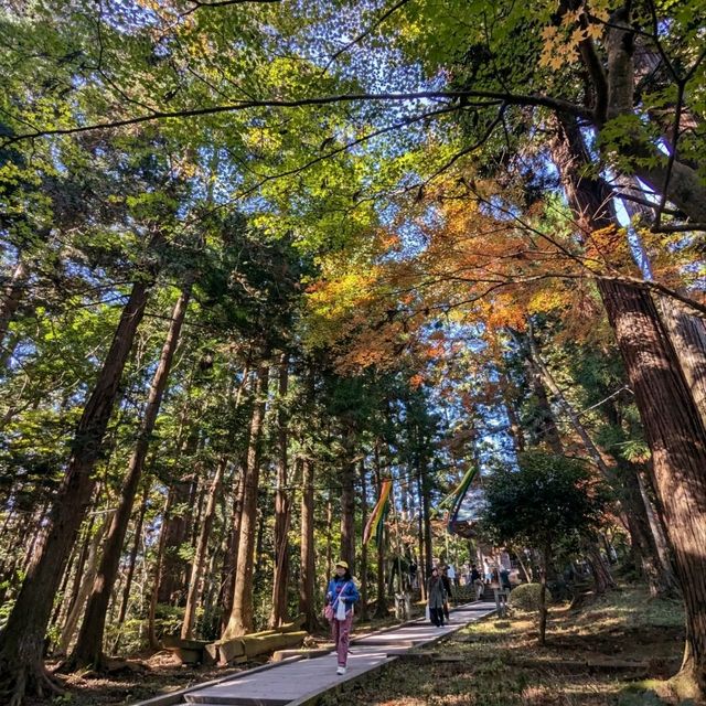 醉人的紅葉銀河，漫步千年古剎「中尊寺」