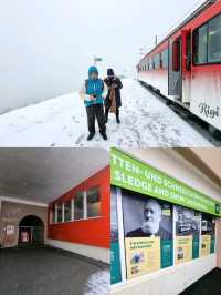 🇨🇭 Cogwheel Train Ride to Mt Rigi 