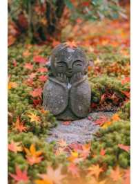 景點推薦：圓光寺——京都紅葉的隱藏秘境