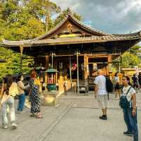 วัดคินคะคุจิ Kinkaku-ji Temple 