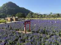 Hokkaido Flower Park 💐