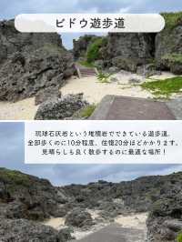 【ヨロン島】おすすめSPOT8選✨