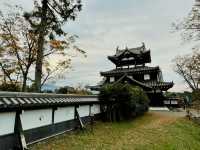 Unveiling the History of Takada Castle