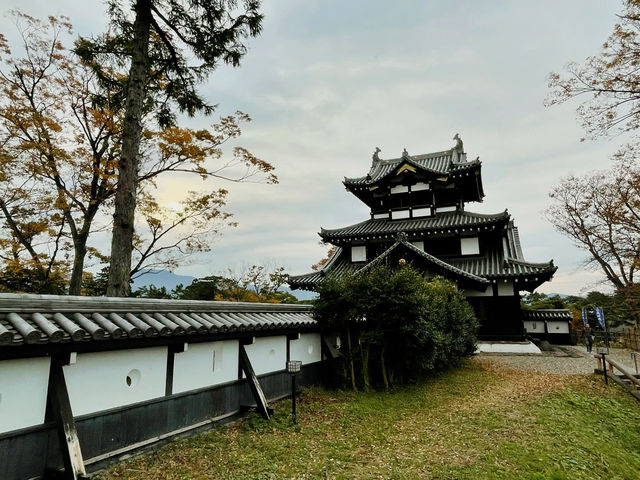 Unveiling the History of Takada Castle