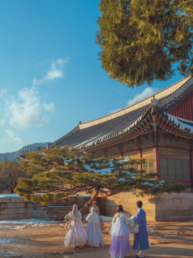 겨울 흰눈이 펑펑내리면 꼭 가야되는 서울 여행지“경복궁”