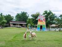 ฟาร์มแกะทหารช่าง 🐑 