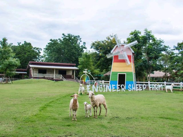 ฟาร์มแกะทหารช่าง 🐑 