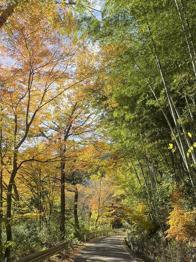 📍 【栃木】紅葉が素晴らしいお寺