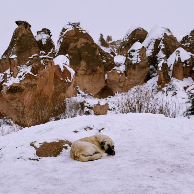 Christmas Magic in Snowy Cappadocia