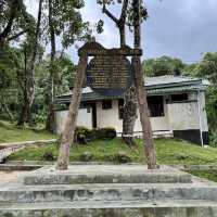 My Kilimanjaro experience 