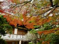 #鎌倉🇯🇵報國寺#