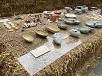 นิทรรศการ “Start form the rice” 