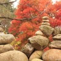 Nami Island: