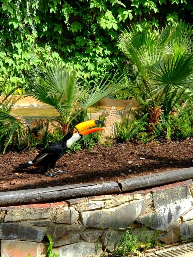馬拉加近郊的大型動物園