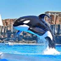 名古屋旅遊～名古屋水族館