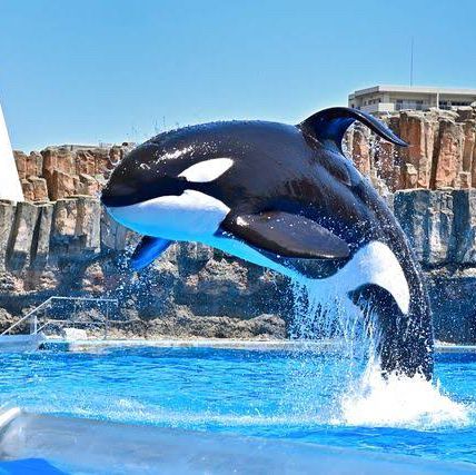 名古屋旅遊～名古屋水族館
