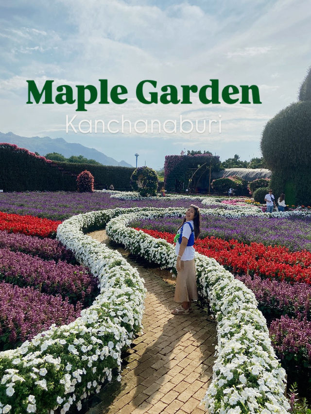 Meple Gardens กาญจนบุรี ที่ไม่ได้มีแค่สวนดอกไม้!