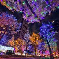 大阪景點|2024年末就讓大阪做一個完美結束~