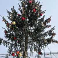 瑞士🇨🇭少女峰 世界屋脊上的聖誕樹🎄